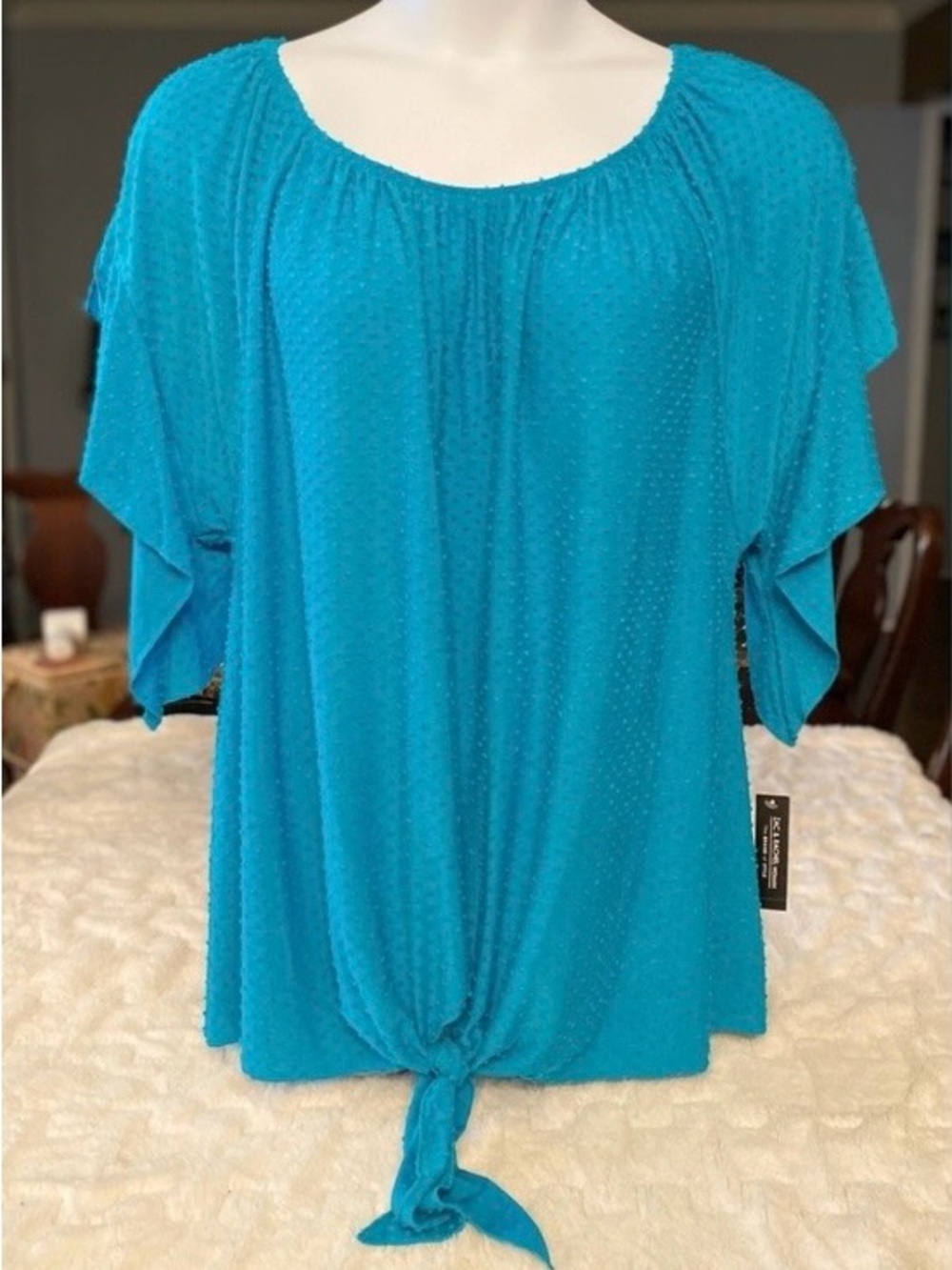 Zac & Rachel Women’s Swiss Dot Turquoise Flutter Sleeve Tie Front Blouse 3X